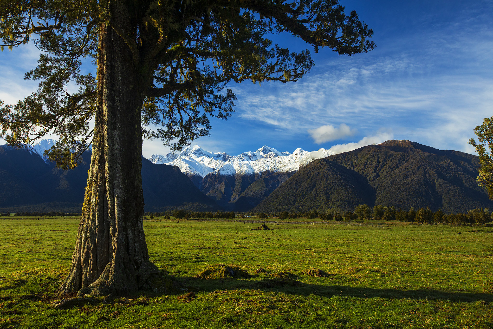 NEW ZEALAND – Ai đã xem “Chúa tể những chiếc nhẫn” (The Lord of the Rings) sẽ bị thiên nhiên nơi đây mê hoặc!